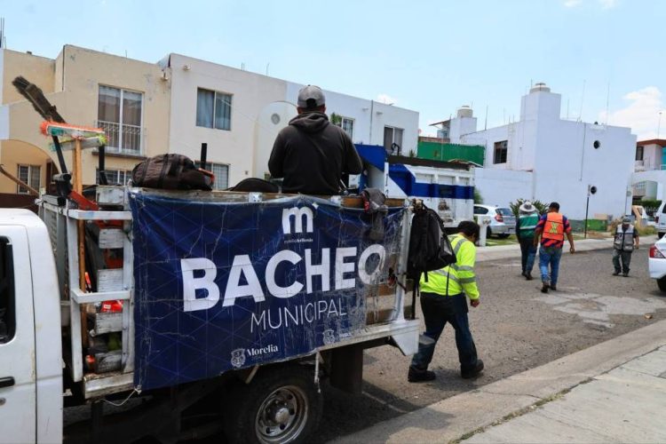 Gobierno de Morelia avanza en mantenimiento urbano y limpieza de áreas verdes de la ciudad