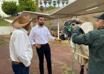 Ganadería fortalece economía y empleo en Michoacán: Octavio Ocampo