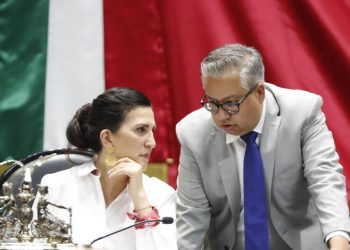 Total oposición de Kenia López Rabadán a reservar por 5 años la información del proceso de selección de consejeros del INE