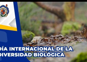Día Internacional de la Diversidad Biológica