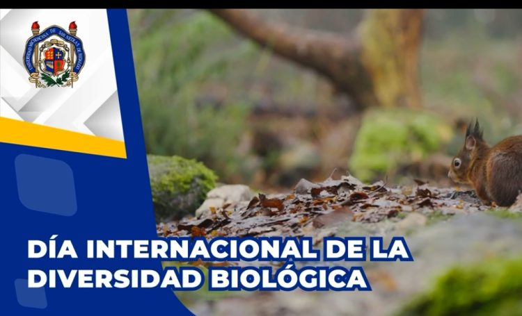 Día Internacional de la Diversidad Biológica