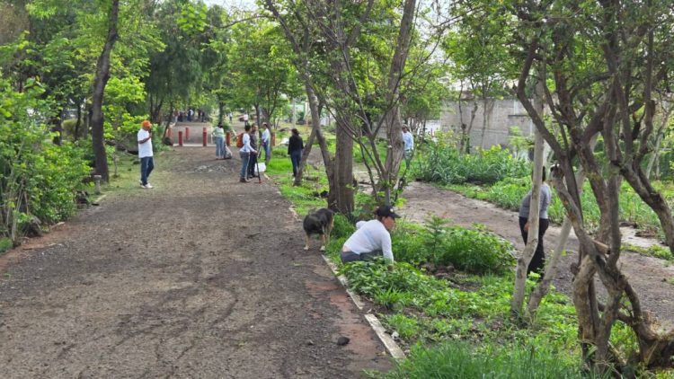 Gobierno de Morelia y ciudadanía emprenden jornada integral en el Parque Lineal Bicentenario