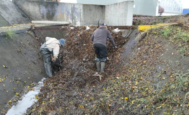 Realiza Gobierno de Morelia limpieza preventiva en canal Fray Antonio de San Miguel