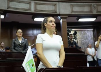 Endurecer penas por tala ilegal y devastación forestal en Michoacán, propone diputada Sandra Arreola