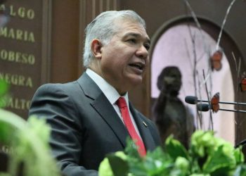 Propone Juan Antonio Magaña de la Mora agravar homicidio en agravio de policías en Michoacán
