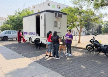 IMPArables por la Vida trabaja por la cultura de protección animal en Villas del Pedregal