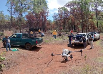 Michoacán restaura bosques desde el aire con miles de germoesferas dispersadas por Drones