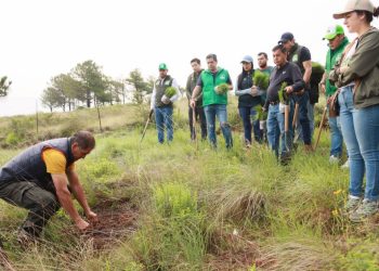 Encabeza PVEM jornada de reforestación en Morelia como parte del plan “Michoacán Competitivo”
