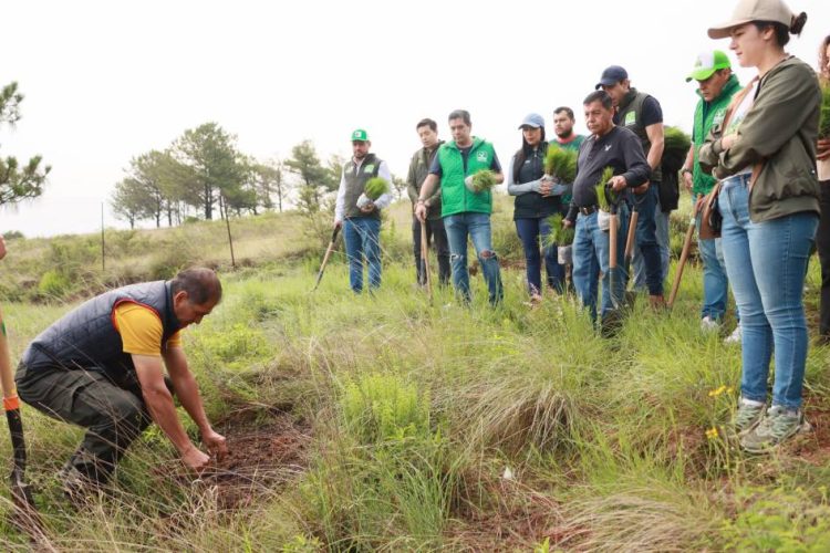 Encabeza PVEM jornada de reforestación en Morelia como parte del plan “Michoacán Competitivo”