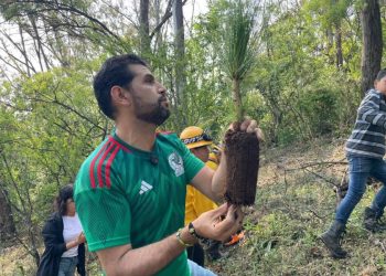 Se suma Octavio Ocampo a jornada de reforestación organizada por SEPAMICH