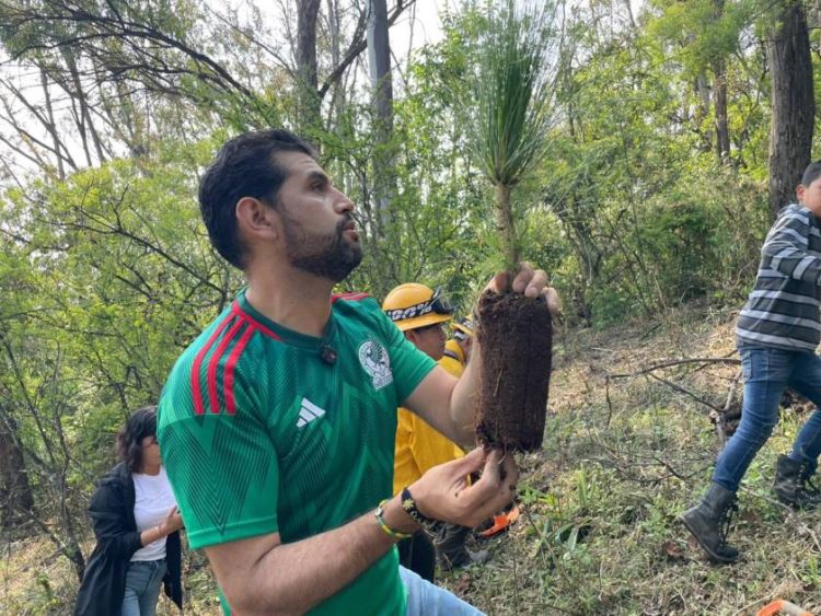 Se suma Octavio Ocampo a jornada de reforestación organizada por SEPAMICH