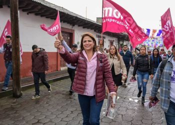 La organización territorial es la mayor fortaleza de la Cuarta Transformación en Michoacán: Fabiola Alanís