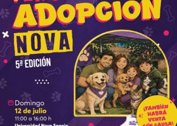 Una oportunidad para cambiar vidas: La Casita de Frijol invita a adoptar este 12 de julio