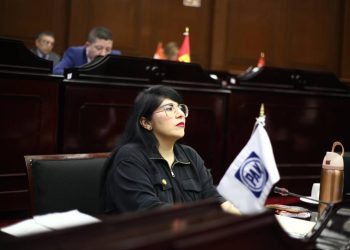 Vanhe Caratachea propone crear un registro de agresores sexuales de niñas, niños y adolescentes