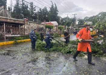 Atienden Brigadas Municipales reportes por lluvias de este viernes