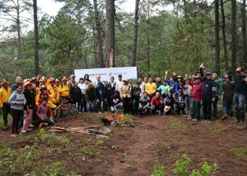Gobierno de Morelia fortalece la recuperación de los bosques con jornada de reforestación