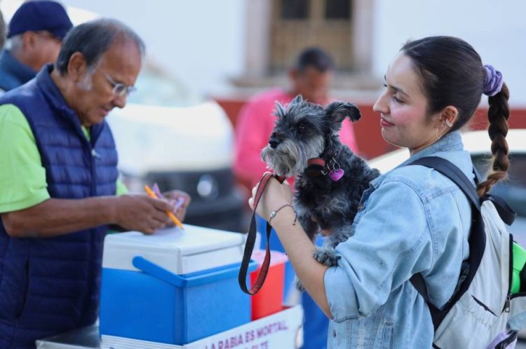 Refuerzan cerco contra la rabia en Morelia; convocan a vacunar perros y gatos este sábado