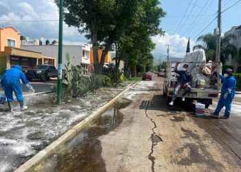 Gobierno de Morelia refuerza acciones preventivas contra el dengue