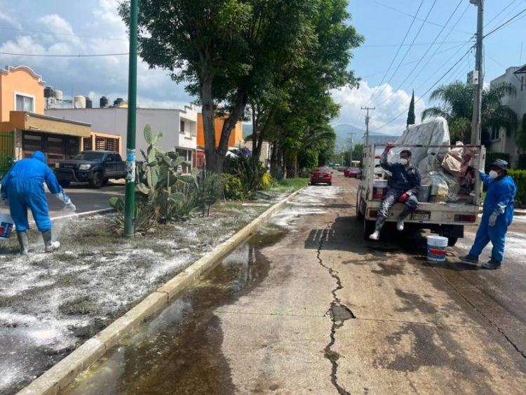Gobierno de Morelia refuerza acciones preventivas contra el dengue