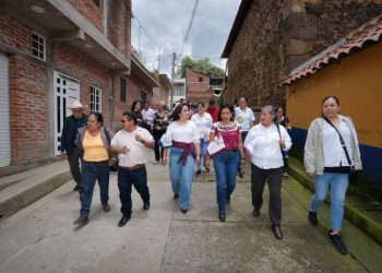 Respalda autogobierno de Santa Cruz Tanaco proyecto de Gladyz Butanda