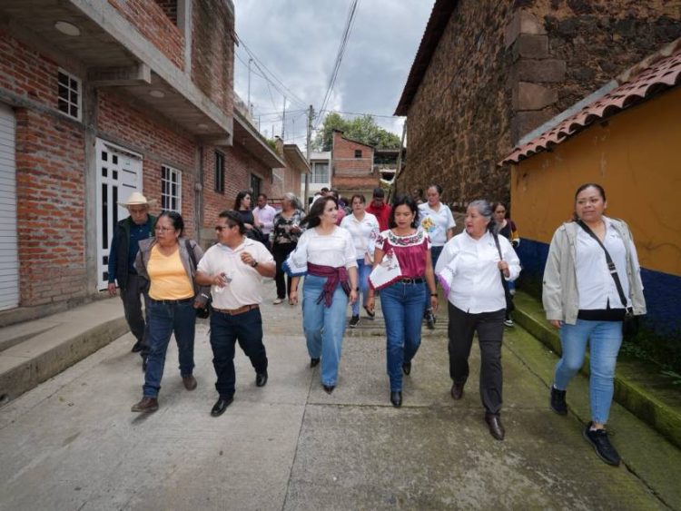 Respalda autogobierno de Santa Cruz Tanaco proyecto de Gladyz Butanda