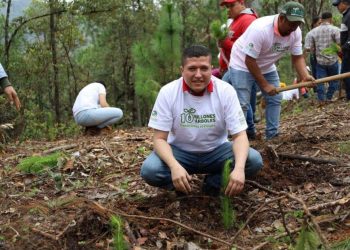 Fomentamos el cuidado ambiental en el distrito  XIX: Vicente Gómez