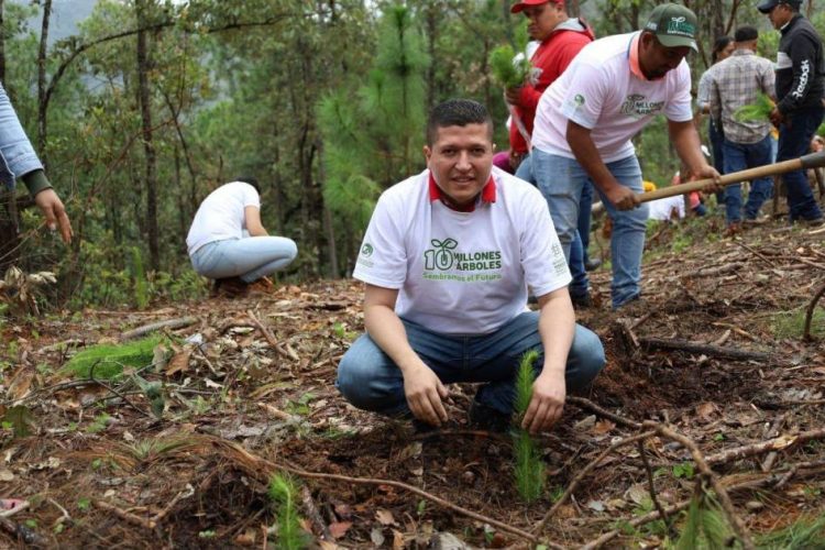 Fomentamos el cuidado ambiental en el distrito XIX: Vicente G贸mez