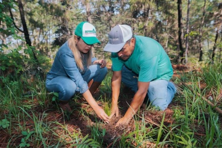 Dayana Pérez fortalece la campaña Reforestando Salvador Escalante junto a ejidatarios de Santa Rosa