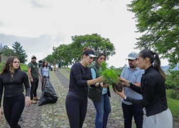 Encabeza Diputada Sandra Arreola Ruiz Jornada de Reforestación