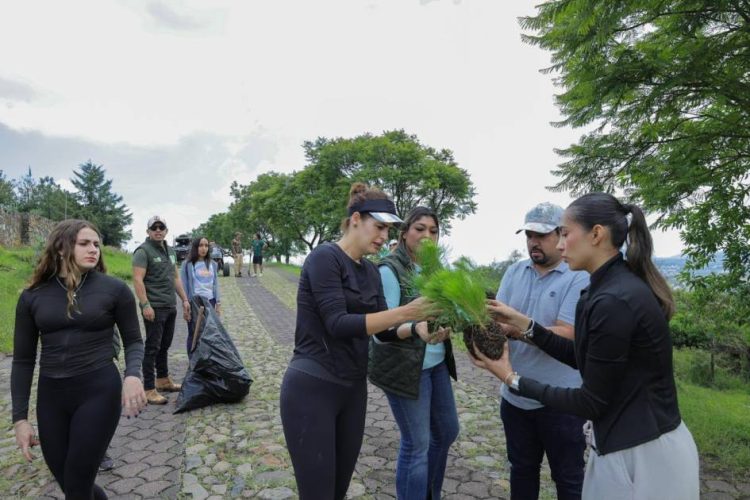 Encabeza Diputada Sandra Arreola Ruiz Jornada de Reforestación