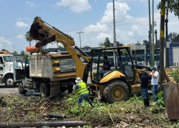 Gobierno Municipal atiende encharcamientos en colonia Benito Juárez
