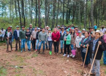 Dayana Pérez fortalece la reforestación en Agua Verde para proteger los bosques de Salvador Escalante