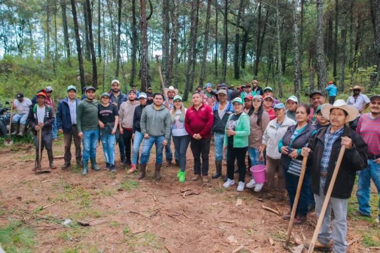 Dayana Pérez fortalece la reforestación en Agua Verde para proteger los bosques de Salvador Escalante