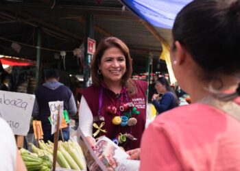 La unidad se construye caminando con el pueblo: Fabiola Alanís