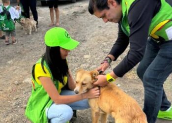 En el Día Mundial del Perro, Ernesto Núñez refrenda compromiso del Partido Verde con el bienestar animal