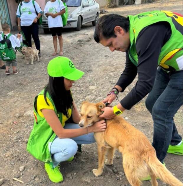 En el Día Mundial del Perro, Ernesto Núñez refrenda compromiso del Partido Verde con el bienestar animal