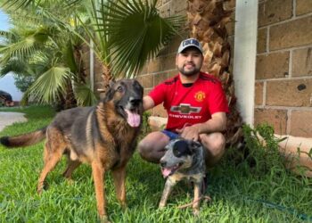Octavio Ocampo resalta importancia de creación de Institutos Municipales de Protección Animal; propuesta que hizo llegar al pleno