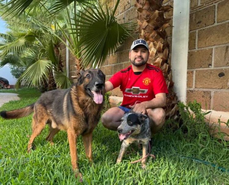 Octavio Ocampo resalta importancia de creación de Institutos Municipales de Protección Animal; propuesta que hizo llegar al pleno