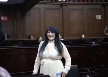 Vanhe Caratachea propone una ley para proteger a madres autónomas