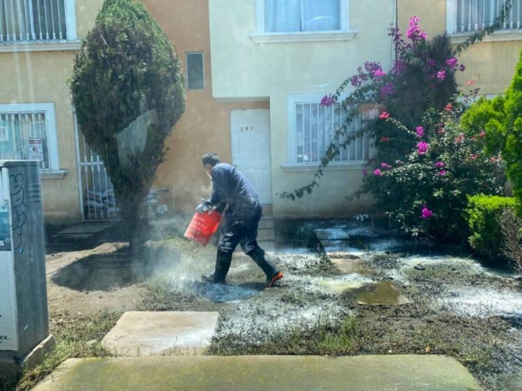 Refuerza Gobierno de Morelia acciones de fumigación en Hacienda Tiníjaro