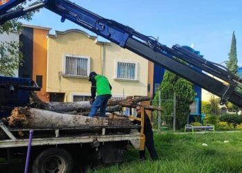 Gobierno de Morelia intensifica labores de limpieza de áreas verdes en distintos puntos de la ciudad