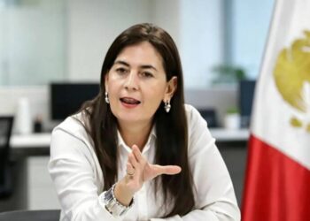 Gaby Molina abrió camino en la regulación de uso de redes sociales