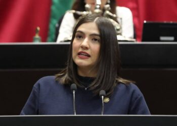Prohibir procedimientos quirúrgicos, mutilaciones y alteraciones en animales de compañía, propone la diputada Paloma Domínguez Ugarte