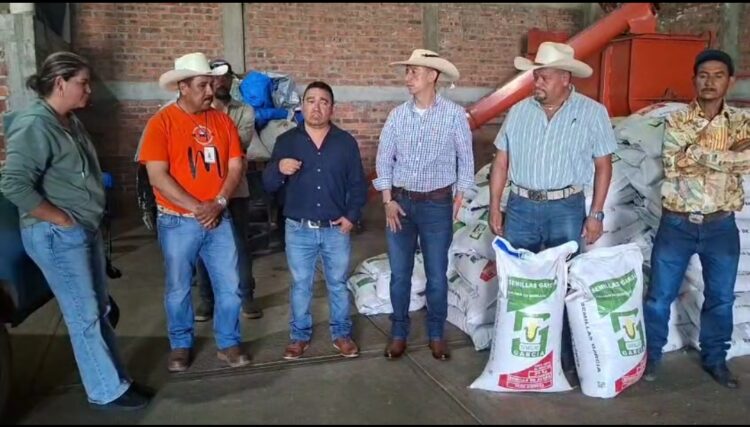 Gobierno de Morelos fortalece el campo con entrega de semilla de avena a productores e impulso de programas: Julio César Conejo Alejos