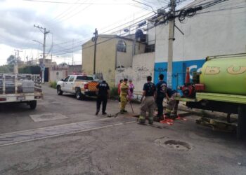 Protección Civil y Bomberos de Morelia rescata polluelos de una alcantarilla en Manatiales