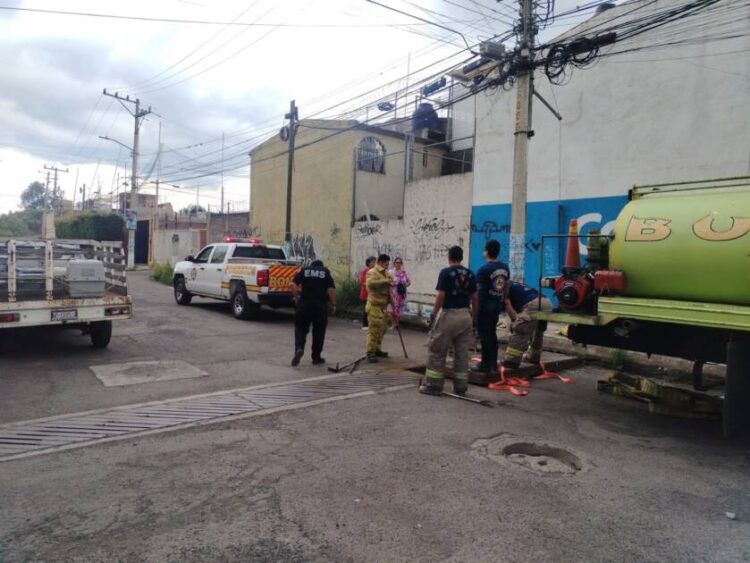 Protección Civil y Bomberos de Morelia rescata polluelos de una alcantarilla en Manatiales