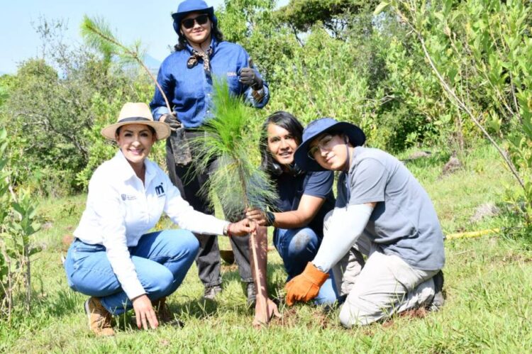 Gobierno de Morelia lleva jornada de reforestación a Tiripetío