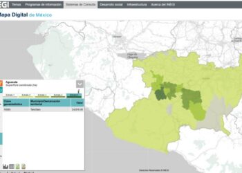 En riesgo 28 mil 157 huertas de aguacate en Michoacán por la suspensión de actividades del personal de la USDA de EE. UU.