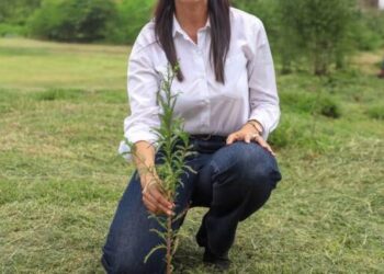 Reforestar Michoacán es sembrar agua, vida y futuro: Gaby Molina