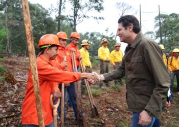 Encabeza Alfonso Martínez jornada de reforestación en Morelia